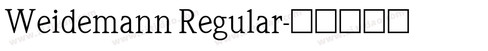 Weidemann Regular字体转换